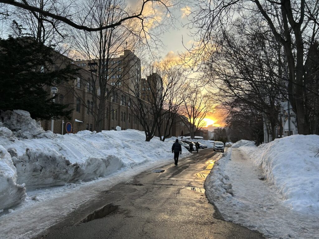 取材を行った2月の北海道大学