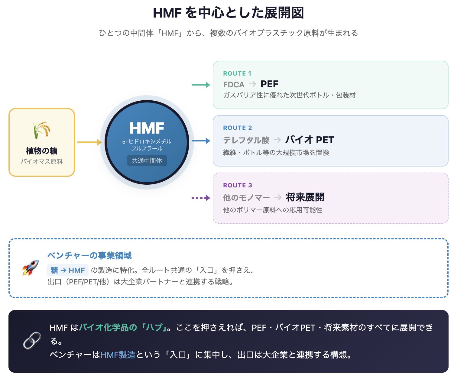 HMFを起点に複数の化学品へ展開する植物化学ハブ構造